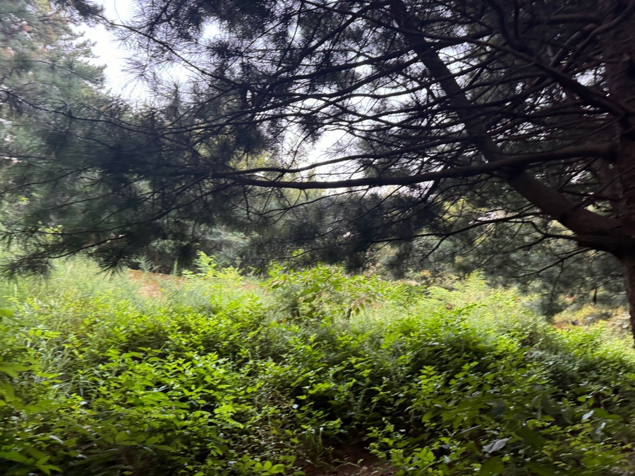 화성시 소재 산소 벌초작업