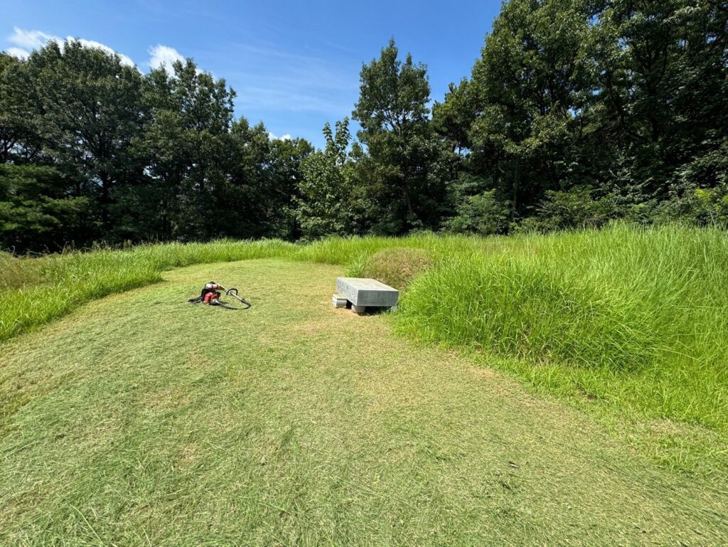 용인시 산소 벌초현장